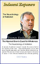 Indecent Exposure:  The Hijacked Brain's Quest for Wholeness Part 3