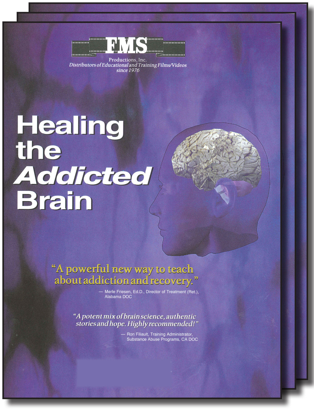 Healing the Addicted Brain Series