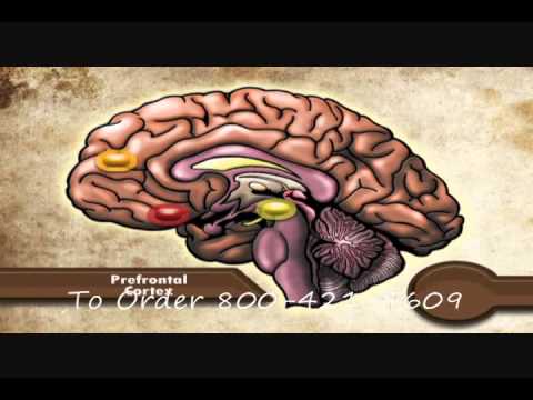 Alcohol, Drugs and the Brain