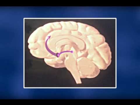 Marijuana The Medical Consequences