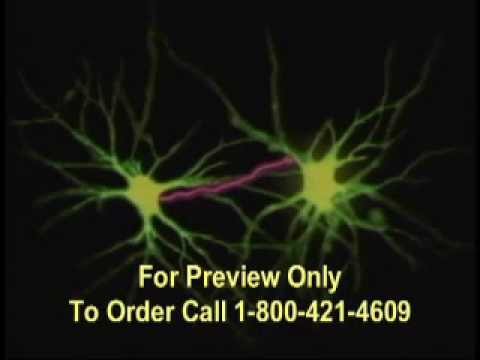 Alcohol, Drugs, Body & Mind The Medical Consequences