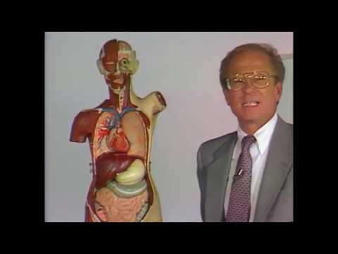 Detox: The First Days in Recovery