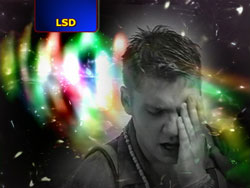 Designer Drugs: From the Rave to the Grave