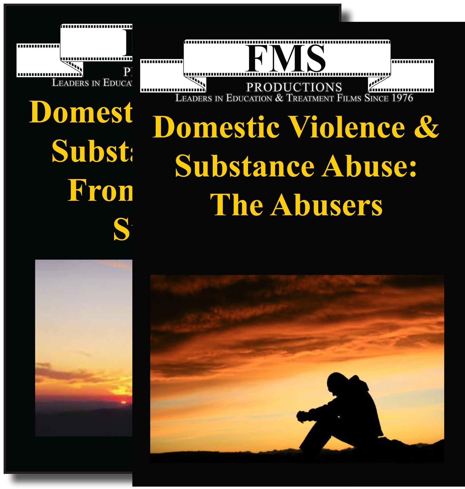 Domestic Violence & Substance Abuse Series