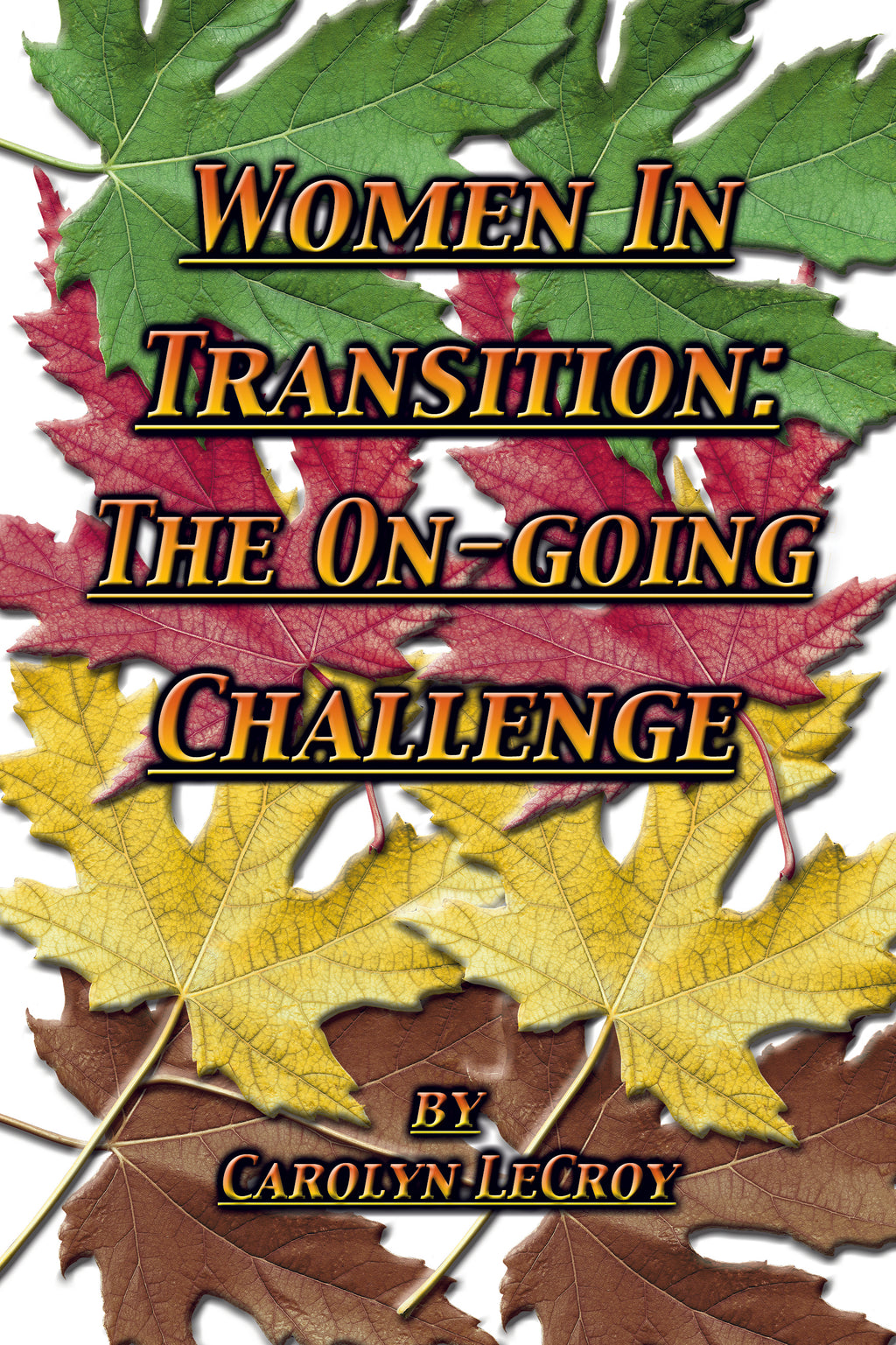 Women in Transition: The On-Going Challenge