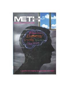 Meth, Inside Out: Brain & Behavior