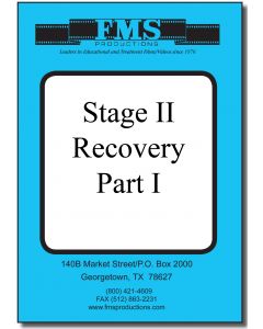 Stage II Recovery Series: Part 1 Life Beyond Addiction